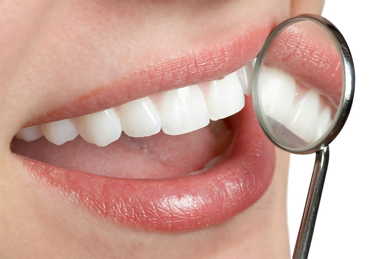 Doctor Dental Dental Offer
